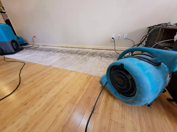 Professional Structural Drying technician working in Concordia, MO